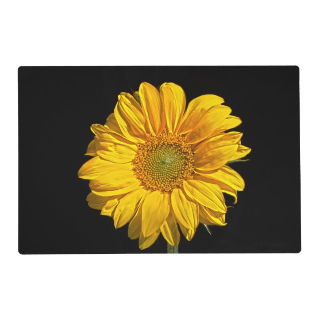 Sunflower pmcnm placemat (Front)