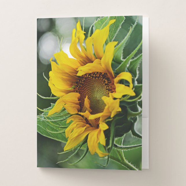 Sunflower Pocket Folder (Front)