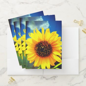 Sunflower Pocket Folders by MarblesPictures at Zazzle
