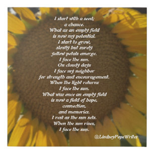 Sunflower Poem Canvas Print