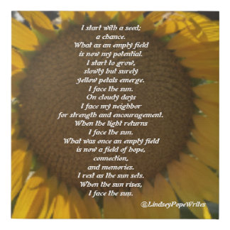 Sunflower Poem Canvas Print