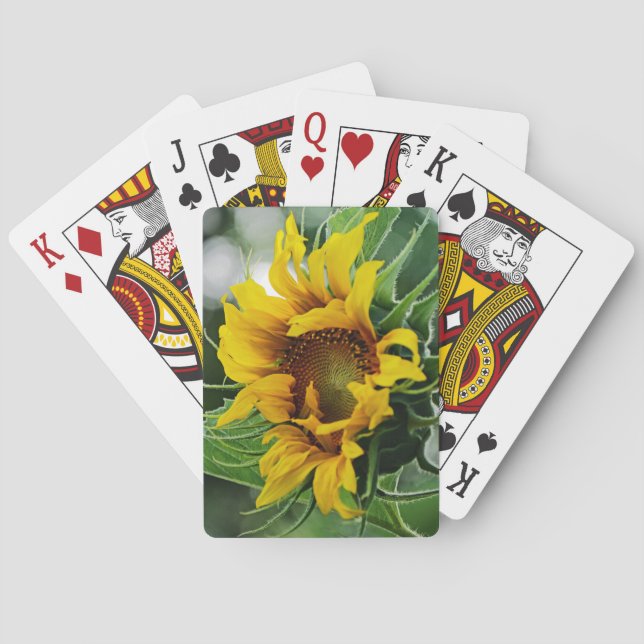 Sunflower Poker Cards (Back)