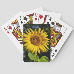 Sunflower Poker Cards