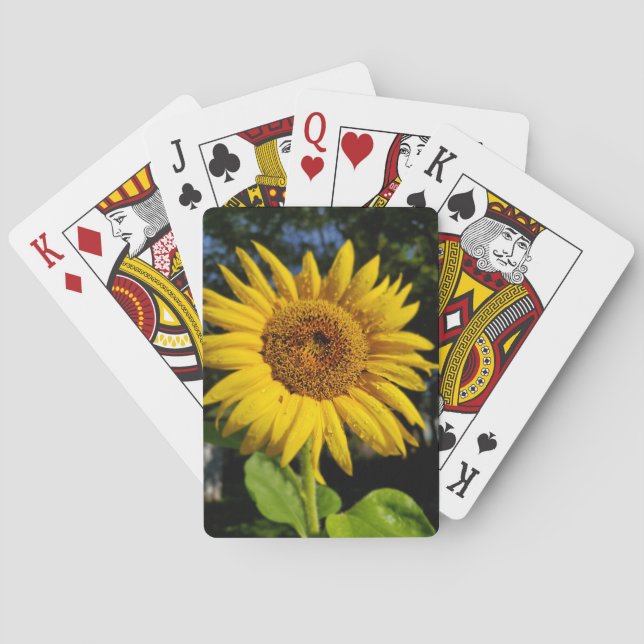 Sunflower Poker Cards (Back)