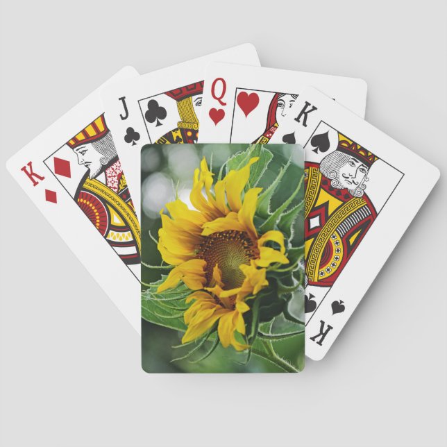 Sunflower Poker Cards (Back)