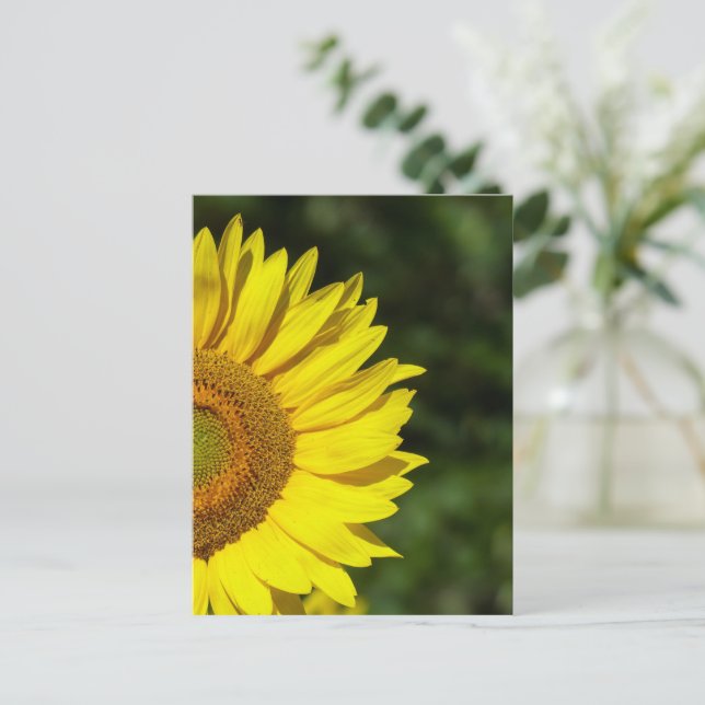 Sunflower Postcard (Standing Front)