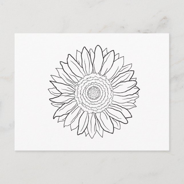 sunflower postcard (Front)