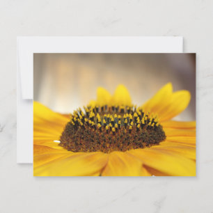 Sunflower Postcard