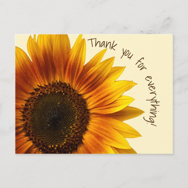 Sunflower Postcard (Front)