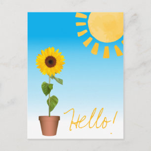 Sunflower Postcard