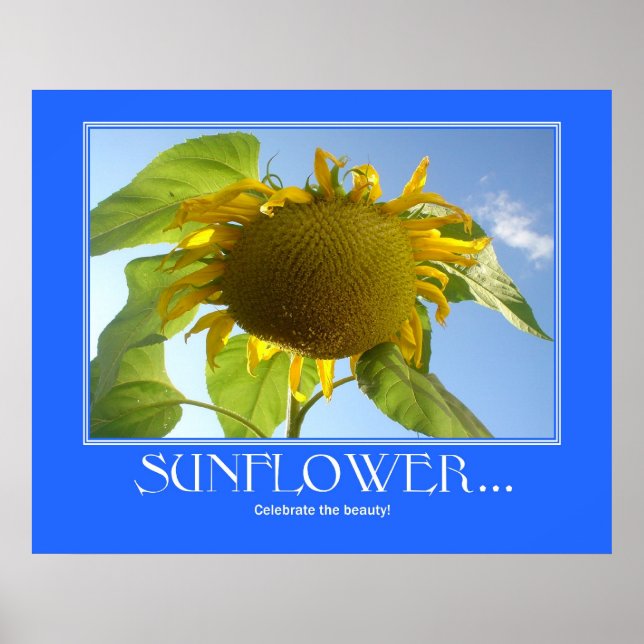 Sunflower Poster (Front)