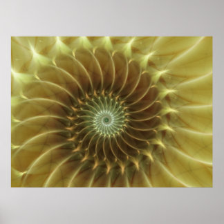 Sunflower Poster