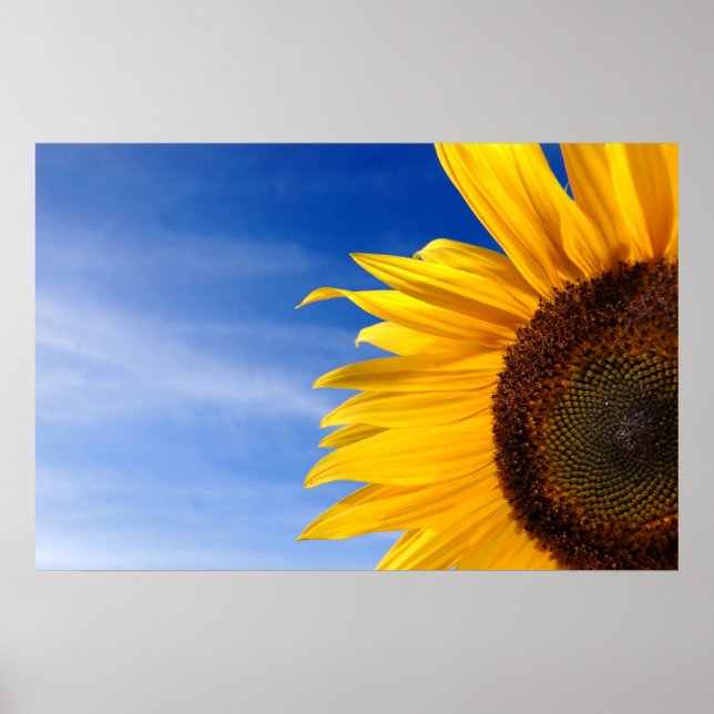 Sunflower Poster (Front)