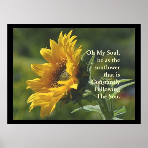 SunFlower Poster