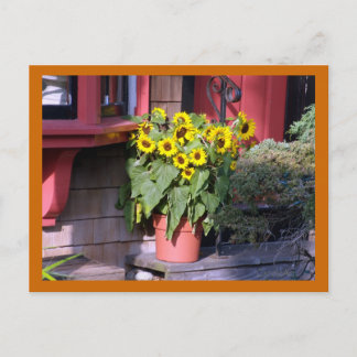 Sunflower Pot Post Card