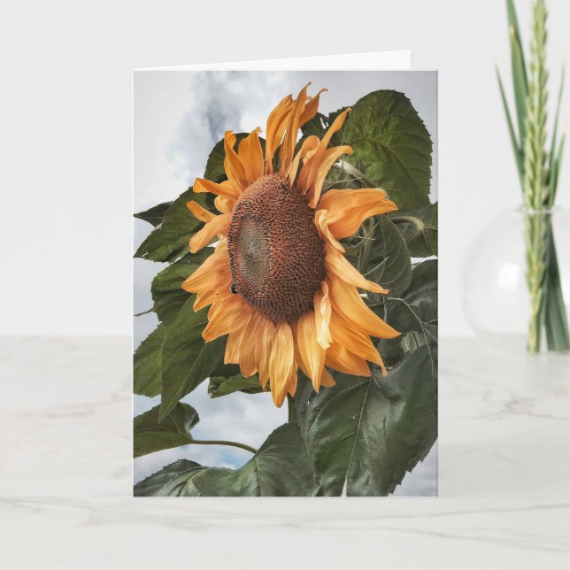 Sunflower Power Birthday Card (Front)