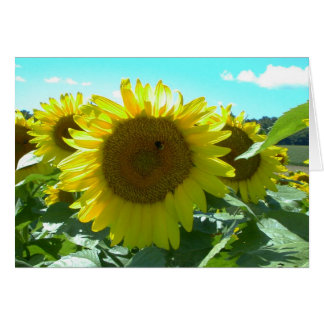 Sunflower Power--Card Cards