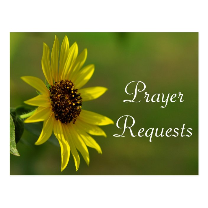 Sunflower Prayer Request Card