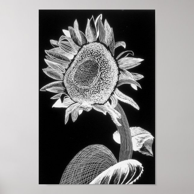 Sunflower print - art for charity (Front)