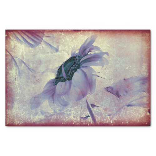 Sunflower Purple Sepia Vintage Antique Texture Tissue Paper