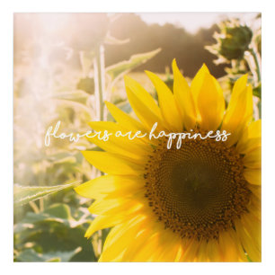 Sunflower quote "flowers are happiness" acrylic print