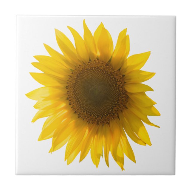 Sunflower quote "flowers are happiness" ceramic tile (Front)