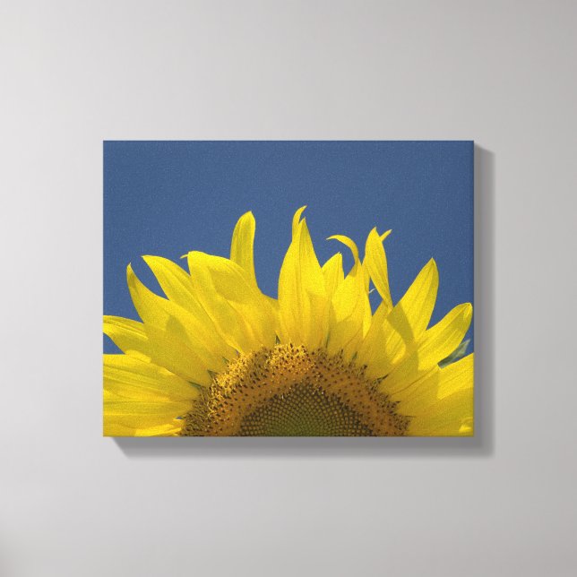 Sunflower Rising Canvas Print (Front)