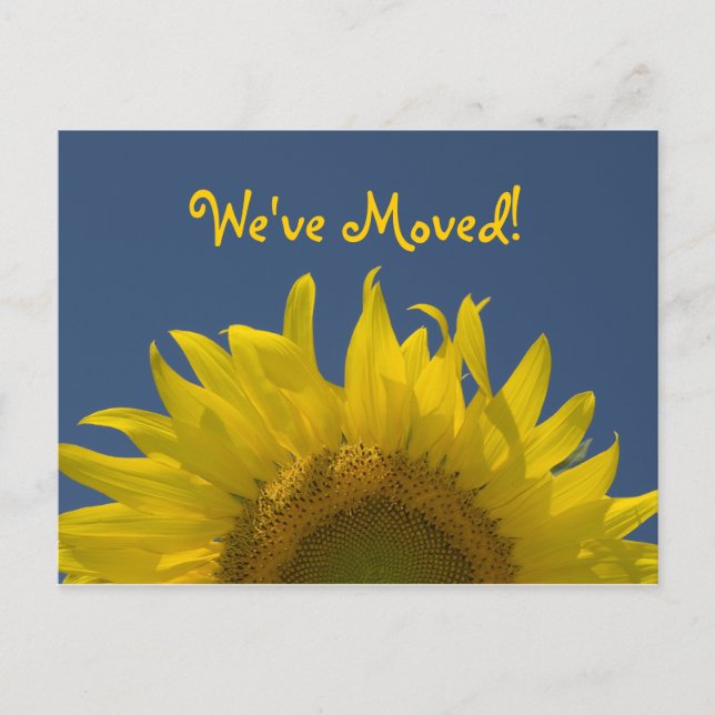 Sunflower Rising Change of Address Announcement Postcard (Front)