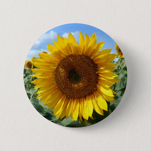 Sunflower Round Badge Pinback Button (Front)
