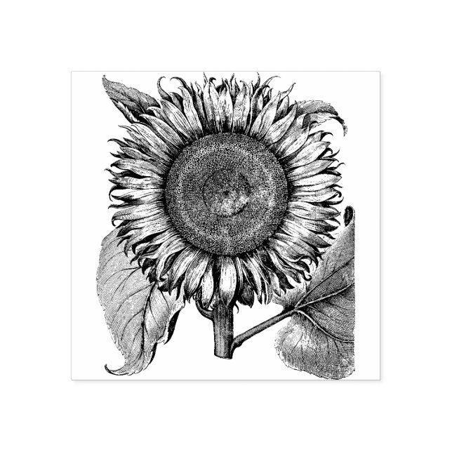 Sunflower  rubber stamp (Imprint)