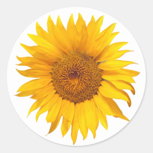 Sunflower Rustic Floral Wedding Favor Classic Round Sticker