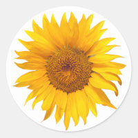 Sunflower Rustic Floral Wedding Favor Classic Round Sticker