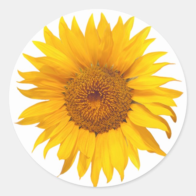 Sunflower Rustic Floral Wedding Favor Classic Round Sticker (Front)