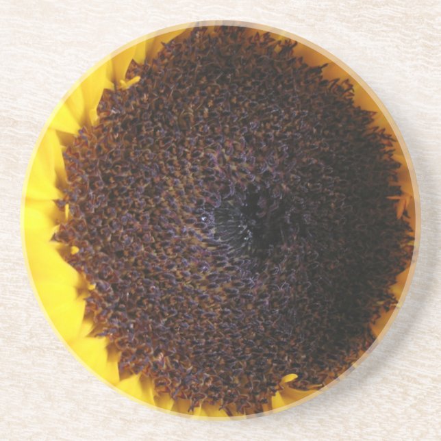 Sunflower Sandstone Coaster (Front)