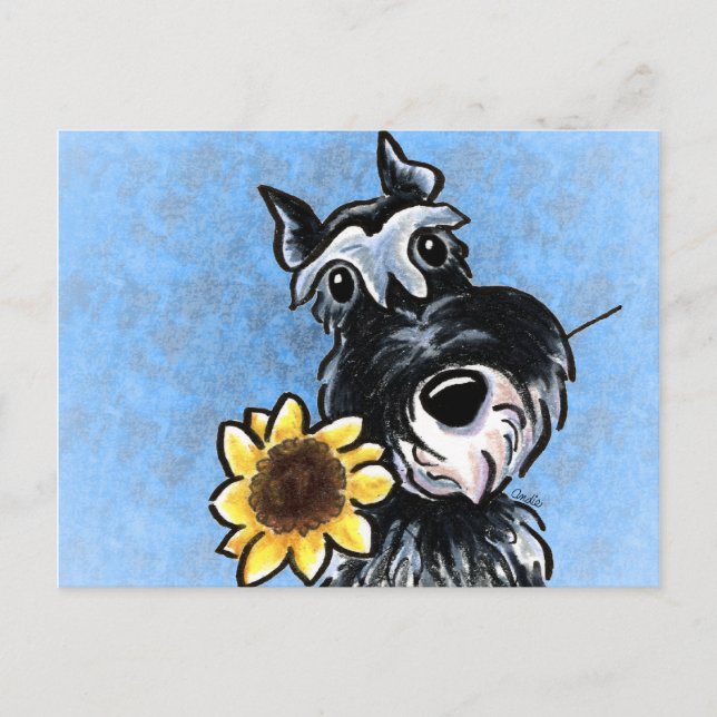 Sunflower Schnauzer Off-Leash Art™ Postcard (Front)