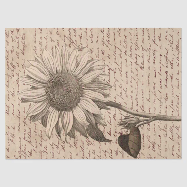 Sunflower Script Ephemera Decoupage Tissue Paper | Zazzle