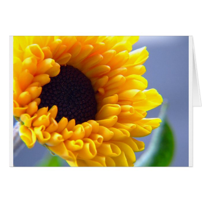 Sunflower Seasonal Inspirationals Greeting Card