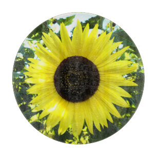 Sunflower Sensation Glass Cutting Board