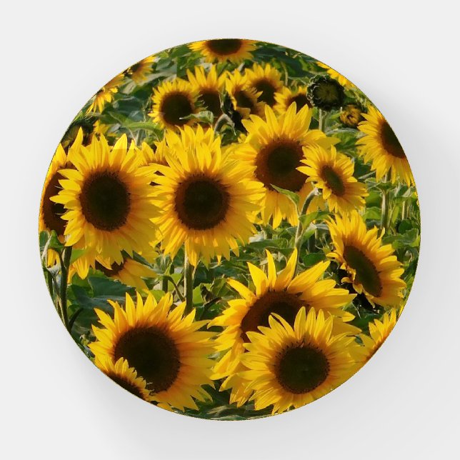 Sunflower Sensation Paperweight (Front)