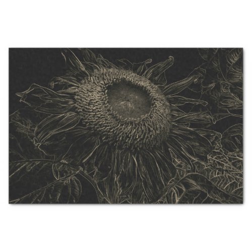 Sunflower Sepia Black Vintage Floral Art Decoupage Tissue Paper