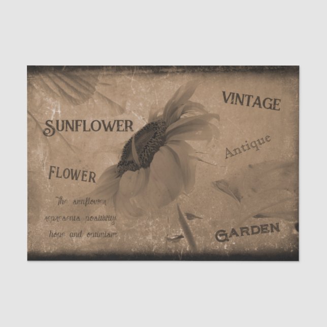 Sunflower Sepia Brown Vintage Antique Ephemera Tissue Paper (Front)