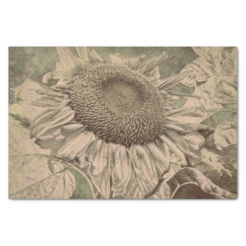 Sunflower Sepia Tone Brown Art Texture Decoupage Tissue Paper