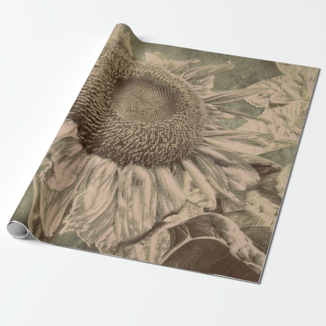 Sunflower Sepia Tone Brown Art Texture Decoupage Wrapping Paper (Unrolled)