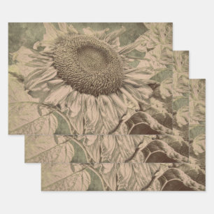 Sunflower Sepia Tone Brown Art Texture Decoupage Wrapping Paper Sheets