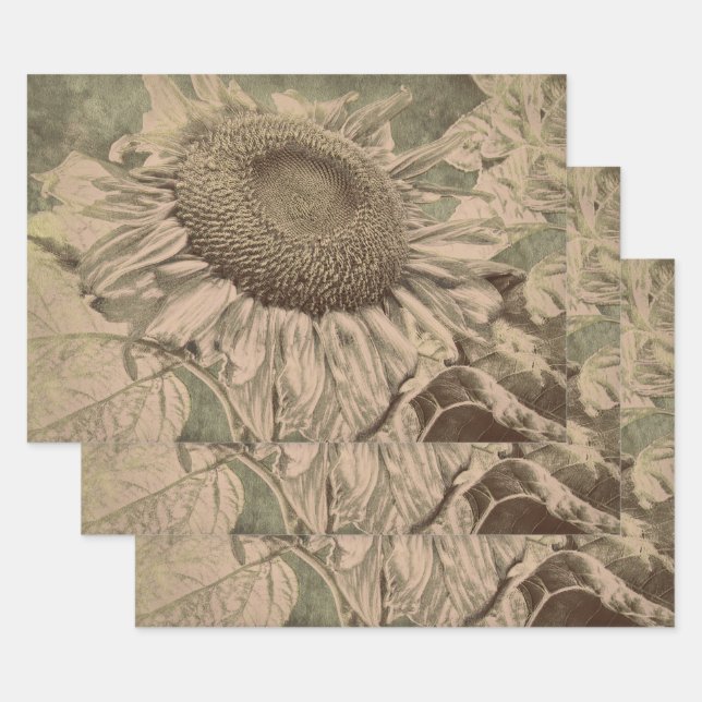 Sunflower Sepia Tone Brown Art Texture Decoupage Wrapping Paper Sheets (Set)