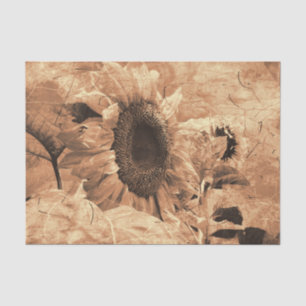 Sunflower Sepia Vintage Antique Country Floral Tissue Paper