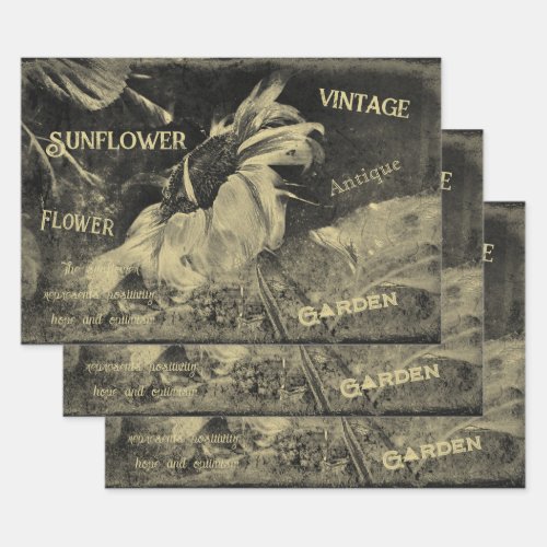 Sunflower Sepia Vintage Antique Ephemera Texture Wrapping Paper Sheets