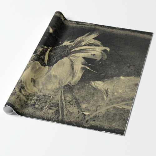 Sunflower Sepia Vintage Antique Grunge Texture Wrapping Paper