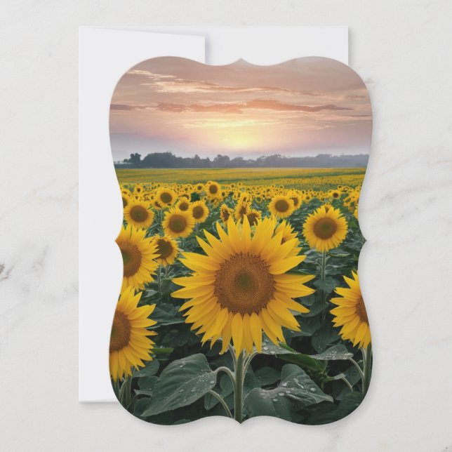 Sunflower Serenade: A Sunrise Scene (Front)