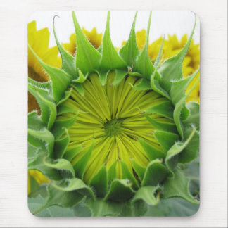 Sunflower Series Mouse Pad
